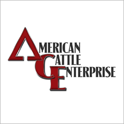 American Cattle Enterprise